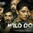 wild dog movie nnline